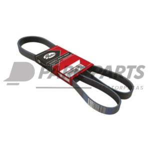 Correia Poly V Randon RD406 (8PK1840)