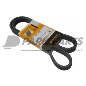 Correia Poly V (8OK2025)