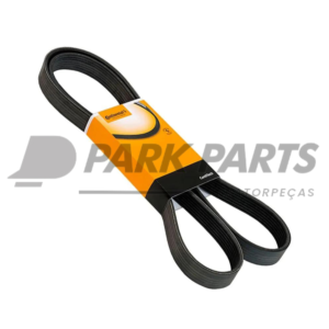 Correia Poly V (8PK1550)