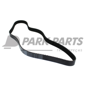 Correia Poly V (8PK1445)