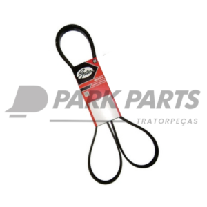 Correia Poly V (6PK2055)