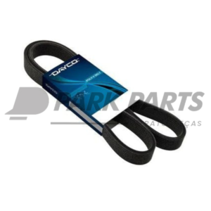 Correia Poly V (6PK2270)