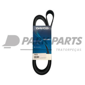 Correia Poly V (7PK1790)