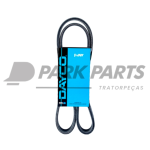 Correia Poly V (6PK0890)