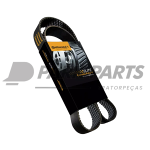 Correia Poly V (8PK1930)