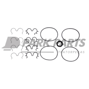 Reparo Bomba (85813244)